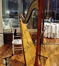 06 ΚΕΛΤΙΚΗ ΑΡΠΑ 26-02-2025