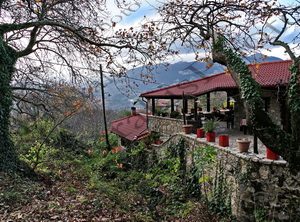 13 ΠΟΡΤΑ ΠΕΤΡΙΝΟ ΣΠΙΤΙ ΠΛΑΤΑΝΟΣ ΠΛΑΤΕΙΑ ΑΓ ΠΑΡΑΣΚΕΥΗ ΣΧΟΛΕΙΟ ΒΑΡΓΙΑΝΗ ΓΡΑΒΙΑ ΦΘΟΙΩΤΙΔΑ 22-11-2025