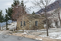 18 ΝΥΜΦΑΙΟ ΦΛΩΡΙΝΑ 03-03-2025