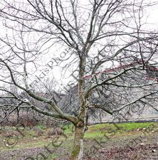 22 ΑΓ ΑΘΑΝΑΣΙΟΣ ΚΑΙΜΑΚΤΣΑΛΑΝ ΒΟΡΑΣ ΠΕΛΛΑ 03-03-2025