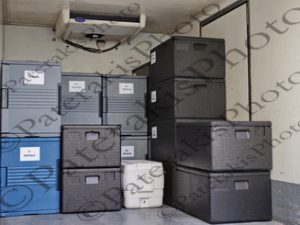 29 ΜΙΧΑΗΛΙΔΟΥ ΕΝΑΡΞΗ ΠΡΟΓΡΑΜΜΑ ΣΧΟΛΙΚΩΝ ΓΕΥΜΑΤΩΝ 40ο ΔΗΜΟΤΙΚΟ ΣΧΟΛΕΙΟ ΠΕΙΡΑΙΑ ΠΟΡΟΥ 5 ΠΕΙΡΑΙΑΣ 31-10-2025