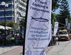 01 ΚΕΔΙΚΟΓΛΟΥ ΣΠΑΝΟΣ ΑΠΟΣΤΟΛΑΚΟΣ ΟΚΑΑ ΕΥΒΟΙΚΟΣ 2022 1η ΓΙΟΡΤΗ ΣΑΡΔΕΛΑΣ & ΓΑΣΤΡΟΝΟΜΙΑΣ ΧΑΛΚΙΔΑ 02-10-2022