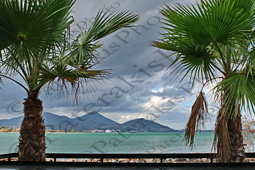 03 ΝΑΥΠΗΓΕΙΑ ΑΥΛΙΔΑΣ ΦΟΙΝΙΚΑΣ ΑΓ ΝΙΚΟΛΑΟΣ ΜΠΟΥΡΤΖΙ ΕΥΒΟΙΑ 06-01-2024