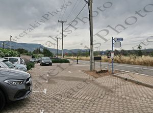 05 CLASSIC CLUB RINA TATOI CLUB 15-06-2023