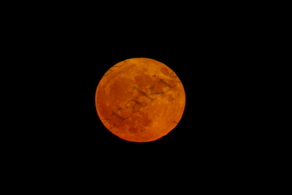 06 ΠΑΝΣΕΛΗΝΟΣ ΦΕΓΓΑΡΙ ΤΟΥ ΕΛΑΦΙΟΥ ΑΓ ΜΑΡΙΝΑ ΑΦΙΔΝΑΙ 03-07-2023