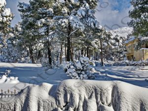 07 ΧΙΟΝΙΑ ΙΠΠΟΚΡΑΤΕΙΟΣ ΠΟΛΙΤΕΙΑ 08-02-2023