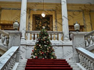 07 ΧΡΙΣΤΟΥΓΕΝΝΙΑΤΙΚΟ ΔΕΝΔΡΟ ΠΡΟΕΔΡΙΚΟ 27-11-2023
