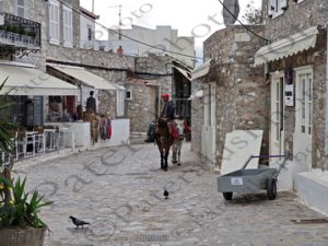 07 ΜΟΥΛΑΡΙ ΓΑΙΔΑΡΟΣ ΥΔΡΑ 05-05-2023