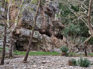 08 ΜΑΝΤΕΙΟ ΤΡΟΦΩΝΙΟΥ ΔΙΟΣ ΚΡΥΑ ΛΙΒΑΔΕΙΑ ΒΟΙΩΤΙΑ 10-12-2023