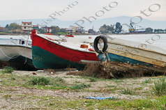 09 ΒΑΡΚΕΣ ΣΤΗΝ ΑΜΜΟΥΔΙΑ ΜΟΥΛΚΙ ΕΥΒΟΙΑ 20-02-2022