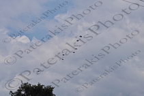 10 ΜΕΤΑΓΩΓΙΚΟ C-27J SPARTAN ΠΑ ΡΙΨΗ ΑΛΕΞΙΠΤΩΤΙΣΤΩΝ ΕΣ ΠΑΧΗ ΜΕΓΑΡΑ 04-05-2022