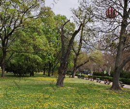 100 CITY PARK BALLON FLY BUDAPEST ΟΥΓΓΑΡΙΑ 16-04-2023