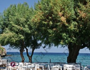 100 ΚΑΡΕΚΛΑ ΤΡΑΠΕΖΙ ΠΡΟΒΛΗΤΑ ROMEO ΕΣΤΙΑΤΟΡΕΙΟ ΡΩΜΑΙΙΚΟΣ ΓΙΑΛΟΣ ΜΥΡΙΝΑ ΛΗΜΝΟΣ 18-08-2023