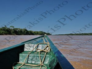 103 ΔΕΝΔΡΟ ΠΙΡΟΓΑ ΠΟΤΑΜΙ MANDRE DE DIOS PUERTO MALDONADO ΠΕΡΟΥ 10_11-08-2024