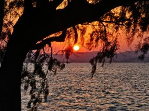 105 ΑΛΜΥΡΑ ΑΥΣΤΡΑΛΙΑΝΗ ΠΡΟΒΛΗΤΑ ΗΛΙΟΒΑΣΙΛΕΜΑ ΔΥΣΗ ΗΛΙΟΥ ΜΟΥΝΔΡΟΣ ΛΗΜΝΟΣ 18-08-2023