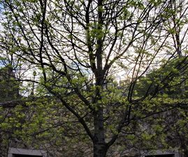 108 CASTLE GARDEN BAZAAR BUDAPEST ΟΥΓΓΑΡΙΑ 16-04-2023