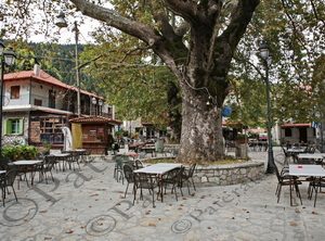 11 ΠΛΑΤΕΙΑ ΕΚΚΛΗΣΙΑ ΜΕΤΑΜΟΡΦΩΣΗ ΣΩΤΗΡΟΣ ΜΟΥΣΟΥΝΙΤΣΑ ΑΘ ΔΙΑΚΟΣ ΦΩΚΙΔΑ 19-10-2024