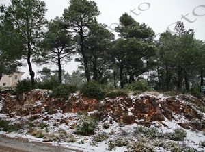 11 ΠΡΩΤΑ ΧΙΟΝΙΑ ΙΠΠΟΚΡΑΤΕΙΟΣ ΠΟΛΙΤΕΙΑ 29-01-2024