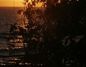 11 ΔΕΙΛΙΝΟ ΙΟΝΙΟ ΠΕΛΑΓΟΣ DEXAMENES SEASIDE HOTEL ΚΟΥΡΟΥΤΑ ΗΛΕΙΑ 14_15-09-2022