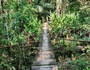 117 ΚΡΕΜΑΣΤΗ ΠΕΖΟΓΕΦΥΡΑ ΖΟΥΓΚΛΑ ΠΟΤΑΜΙ MANDRE DE DIOS PUERTO MALDONADO ΠΕΡΟΥ 11-08-2024