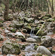 12 ΠΑΡΑΠΟΤΑΜΟΣ ΜΟΡΝΟΥ ΜΟΥΣΟΥΝΙΤΣΑ ΑΘ ΔΙΑΚΟΣ ΦΩΚΙΔΑ 19-10-2024