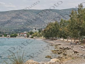 13 ΠΑΡΑΛΙΑ ΑΛΥΚΗ ΞΗΡΟΝΟΜΗΣ ΒΟΙΩΤΙΑ 20-05-2023