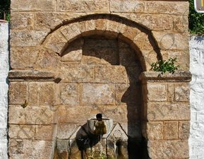 140 ΠΑΖΑΡΟΒΡΥΣΗ ΚΥΠΑΡΙΣΣΙΑ ΜΕΣΣΗΝΙΑ 22-04-2023