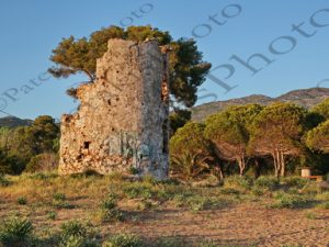 148 ΠΑΡΑΛΙΑ ΚΑΙΑΦΑ ΗΛΕΙΑ 22-04-2023