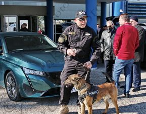 15 ΑΣΤΥΝΟΜΙΚΟΣ ΣΚΥΛΟΣ Κ-9 ΑΝΙΧΝΕΥΣΗΣ ΝΑΡΚΩΤΙΚΩΝ ΟΥΣΙΩΝ ΛΣ ΥΕΝ ΠΕΙΡΑΙΑΣ 14-02-2023