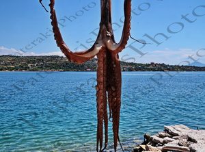 16 ΧΤΑΠΟΔΙ ΣΤΟΝ ΗΛΙΟ ΛΙΜΝΗ ΒΟΥΛΙΑΓΜΕΝΗΣ ΛΟΥΤΡΑΚΙ 10-07-2022