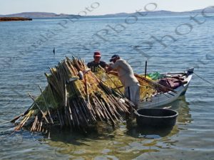 167 ΨΑΡΕΜΑ ΚΑΛΑΜΩΤΗ ΞΕΨΑΡΙΣΜΑ ΔΙΧΤΥΑ ΚΕΦΑΛΟΣ ΛΙΜΑΝΙ Ν ΚΟΥΤΕΛΗ ΛΗΜΝΟΣ 29-08-2023