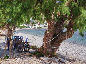 17 ΚΑΡΕΚΛΕΣ ΤΡΑΠΕΖΙΑ ΠΟΔΗΛΑΤΟ ΛΙΒΑΔΙΑ ΤΗΛΟΣ 09-05-2022