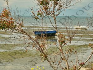 18 ΒΑΡΚΕΣ ΣΚΑΡΦΕΙΑ ΧΙΛΙΟΜΙΔΙ ΘΕΡΜΟΠΥΛΕΣ ΦΘΙΩΤΙΔΑ 09-04-2023