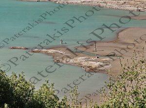 19 ΚΟΡΜΟΣ ΔΕΝΔΡΟ ΛΕΙΨΥΔΡΙΑ ΛΙΜΝΗ ΜΟΡΝΟΣ 20-10-2024