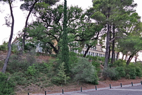 19 ΜΟΥΣΕΙΟ ΙΣΤΟΡΙΑΣ ΟΛΥΜΠΙΑΚΩΝ ΑΓΩΝΩΝ ΑΡΧΑΙΑ ΟΛΥΜΠΙΑ 11-07-2022