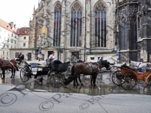 195 ΑΜΑΞΑ STEPHANSPLATZ VIENNA ΑΥΣΤΡΙΑ 27-08-2024
