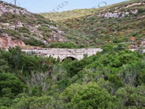 21 ΓΕΦΥΡΙ ΜΥΡΤΙΔΙΩΝ ΚΥΘΗΡΑ 04-08-2023