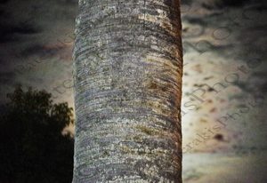 21 ΠΑΝΣΕΛΗΝΟΣ ΣΥΝΕΦΑ ΦΟΙΝΙΚΑΣ ΑΡΧΑΙΟΛΟΓΙΚΟ ΜΟΥΣΕΙΟ ΑΘΗΝΩΝ 12-08-2022