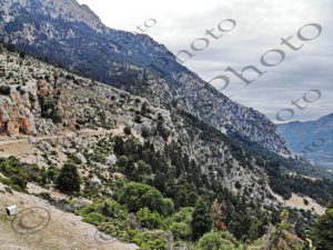 21 ΖΩΟΔΟΧΟΣ ΠΗΓΗ ΣΠΗΛΙΑ ΑΡΣΑΛΗ ΣΥΚΕΑ ΣΥΚΙΑ ΦΩΚΙΔΑ DRONE 20-10-2024