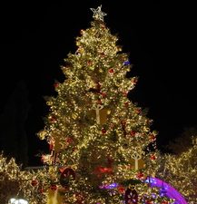 23 ΧΡΙΣΤΟΥΓΕΝΝΙΑΤΙΚΟ ΔΕΝΤΡΟ ΣΥΝΑΥΛΙΑ ΠΛ ΣΥΝΤΑΓΜΑΤΟΣ ΑΘΗΝΑ 24-12-2023