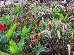 238 ΘΑΜΝΟΣ ΛΟΥΛΟΥΔΙ RESSELPARK VIENNA ΑΥΣΤΡΙΑ 29-08-2024