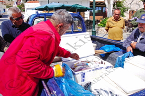 26 ΥΠΑΙΘΡΙΟΣ ΨΑΡΑΣ ΑΣΤΑΚΟΣ ΛΙΘΡΙΝΙ ΜΕΛΑΝΟΥΡΙ ΛΙΒΑΔΙΑ ΤΗΛΟΣ 11-05-2022