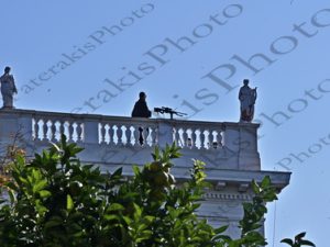 30 ΕΛΕΥΘΕΡΟΣ ΣΚΟΠΕΥΤΗΣ ΠΡΟΕΔΡΙΚΟ 29-10-2024