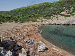 30 ΦΕΡΤΑ ΥΛΙΚΑ ΞΥΛΟ ΠΑΡΑΛΙΑ ΚΥΜΑΣΙ ΕΥΒΟΙΑ 23-09-2023