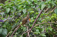 30 ΚΟΚΚΙΝΟΛΕΜΗΣ ΜΑΞΙΜΟΥ 24-02-2022