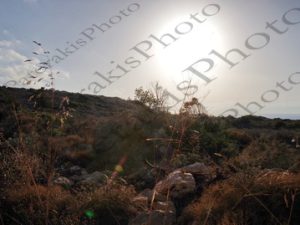 31 ΑΝΤΑΝΑΚΛΑΣΕΙΣ ΔΕΙΛΙΝΟ ΜΟΥΔΑΡΙ ΚΥΘΗΡΑ 05-08-2023