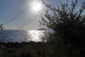 31 ΑΝΤΑΝΑΚΛΑΣΕΙΣ ΚΑΡΔΑΜΥΛΗ ΜΑΝΗ ΜΕΣΣΗΝΙΑ 17-08-2022