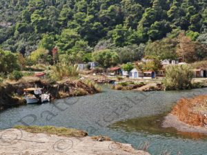 31 ΒΑΡΚΑ ΚΑΙΚΙ ΑΛΙΕΥΤΙΚΟΣ ΟΙΚΙΣΜΟΣ ΠΑΡΑΓΚΑ ΠΑΡΑΛΙΑ ΚΥΜΑΣΙ ΕΥΒΟΙΑ 23-09-2023