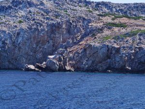 31 ΚΟΥΝΟΥΠΟΙ ΑΣΤΥΠΑΛΑΙΑ ΔΩΔΕΚΑΝΗΣΑ 16-09-2022