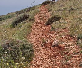 33 ΛΟΥΛΟΥΔΙΑ ΠΑΡΑΛΙΑ ΑΚΡΩΤΗΡΙΟ ΤΑΙΝΑΡΟ ΛΑΚΩΝΙΑ 29-04-2022